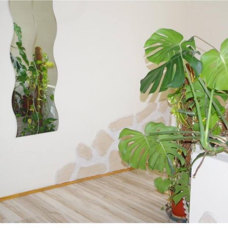 L'Appartement 90M2 Climatise Αβινιόν Εξωτερικό φωτογραφία