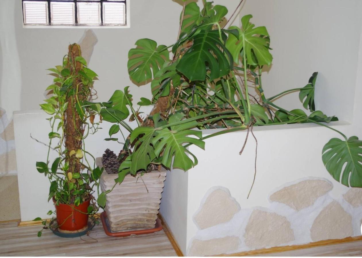 L'Appartement 90M2 Climatise Αβινιόν Εξωτερικό φωτογραφία